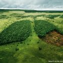 Papier Consuminderen: Laat Minder Bomen En Grondstoffen Verloren Gaan