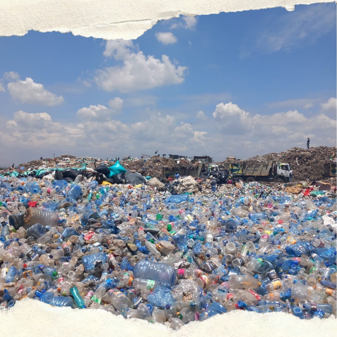 Van Politieke Reflecties Tot Juridische Actie: Tegen Plasticvervuiling In Het Mariene Milieu