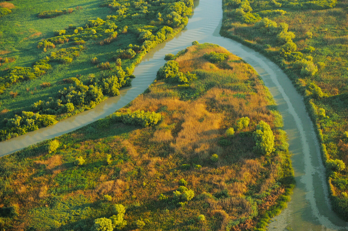 2022-UN-Biodiversity-Conference